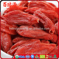 Bayas goji Ningxia Goji beneficios Millones de piezas Bayas goji ventas medicina china a precio asequible